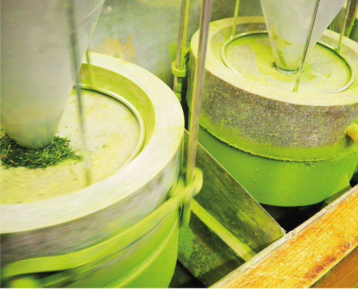 Matcha-3.jpg
