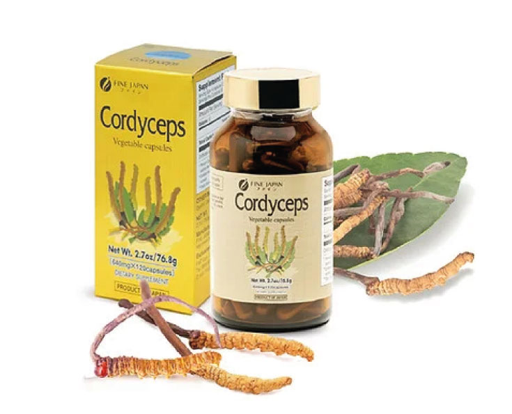 Ngay-cua-Cha-12.jpg
