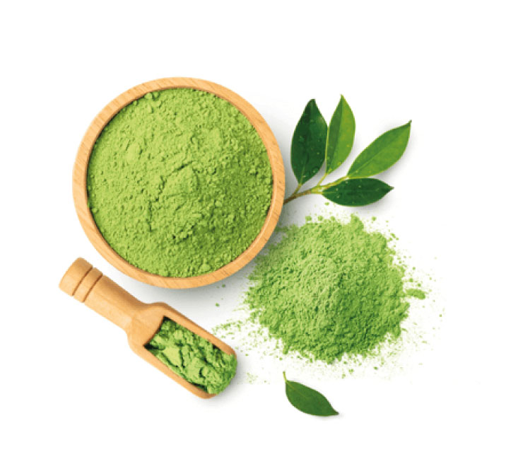 Mat-na-matcha-4.jpg