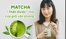 Uống matcha mỗi ngày có tốt không? Các công dụng sức khỏe của matcha dân văn phòng nên biết 