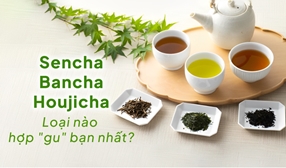 So sánh các loại trà lá Sencha, Bancha, Houjicha - Loại nào phù hợp với "gu" bạn nhất?