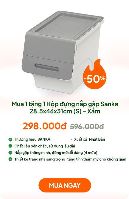 Combo mua 1 tặng 1 Hộp đựng nắp gập Sanka 28.5x46x31cm (S) - Xám