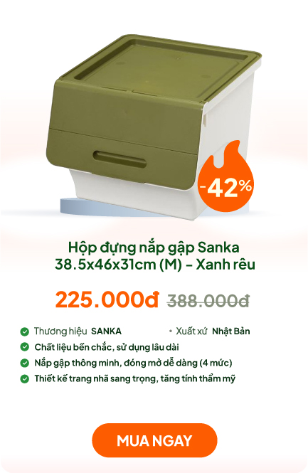 Hộp đựng nắp gập Sanka 38.5x46x31cm (M) - Xanh rêu