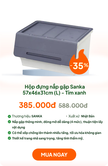 Hộp đựng nắp gập Sanka 57x46x31cm (L) - Tím xanh