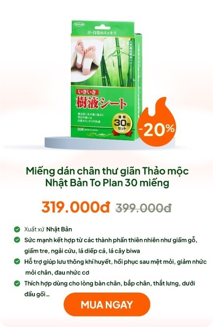 Miếng dán chân thư giãn giảm mỏi mệt Thảo mộc Nhật Bản To Plan 30 miếng