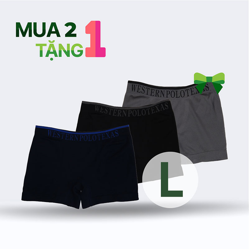 Combo mua 2 tặng 1 Quần lót nam boxer cao cấp size L (Nhiều mẫu)