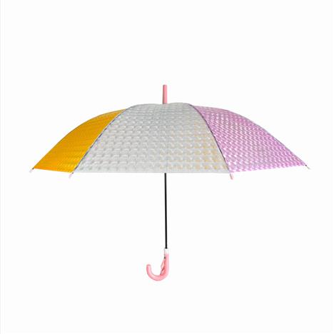 Cây dù trẻ em họa tiết 3D 54cm, kèm tag ghi tên và lớp học