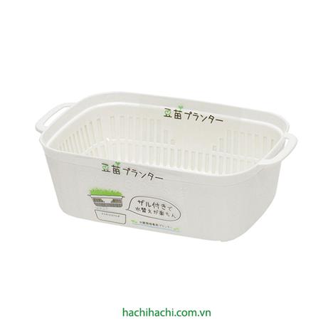 Khay trồng giá đỗ, rau mầm 21x12.5cm