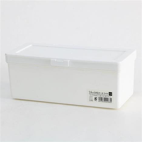 Hộp đựng vật dụng, phụ kiện điện tử 22.7x10.6cm
