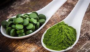 Tảo xoắn Spirulina SGF